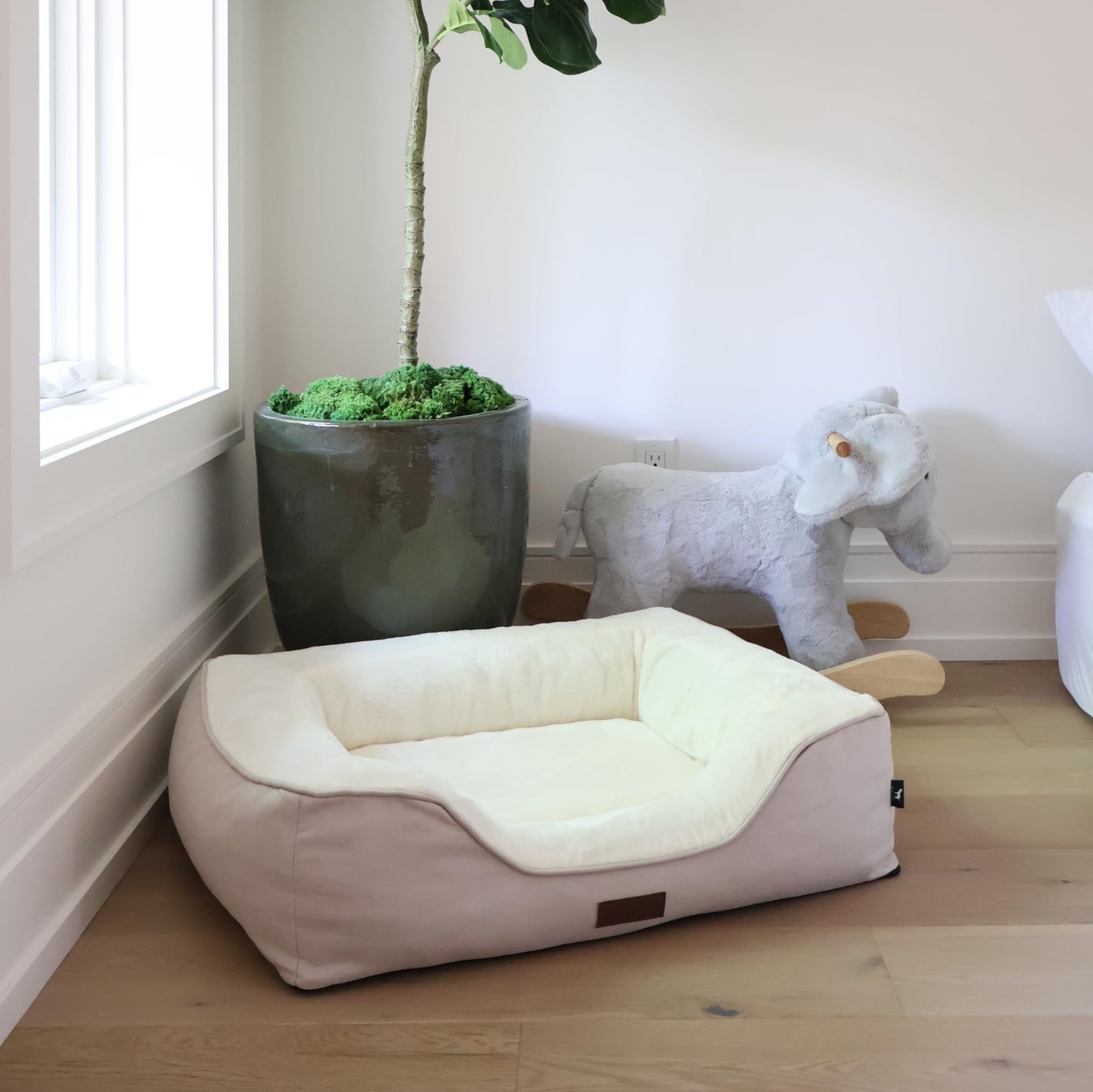 JACKO & CO - Premium Orthopedic Dog Bed with Egg Crate Memory Foam – Waterproof Lining & Removable Machine Washable Cover – Soft Velvet Fabric & High-Density Foam with Non-Slip Base (Beige, X-Small)