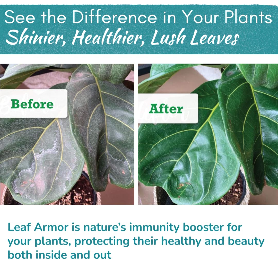 Leaf Armor Spray | Natural, Organic Protectant & Shine for Healthy Foliage on Fiddle Leaf Fig, Monstera & Other Houseplants | Safeguards Leaves from Dust & Debris | 8 oz