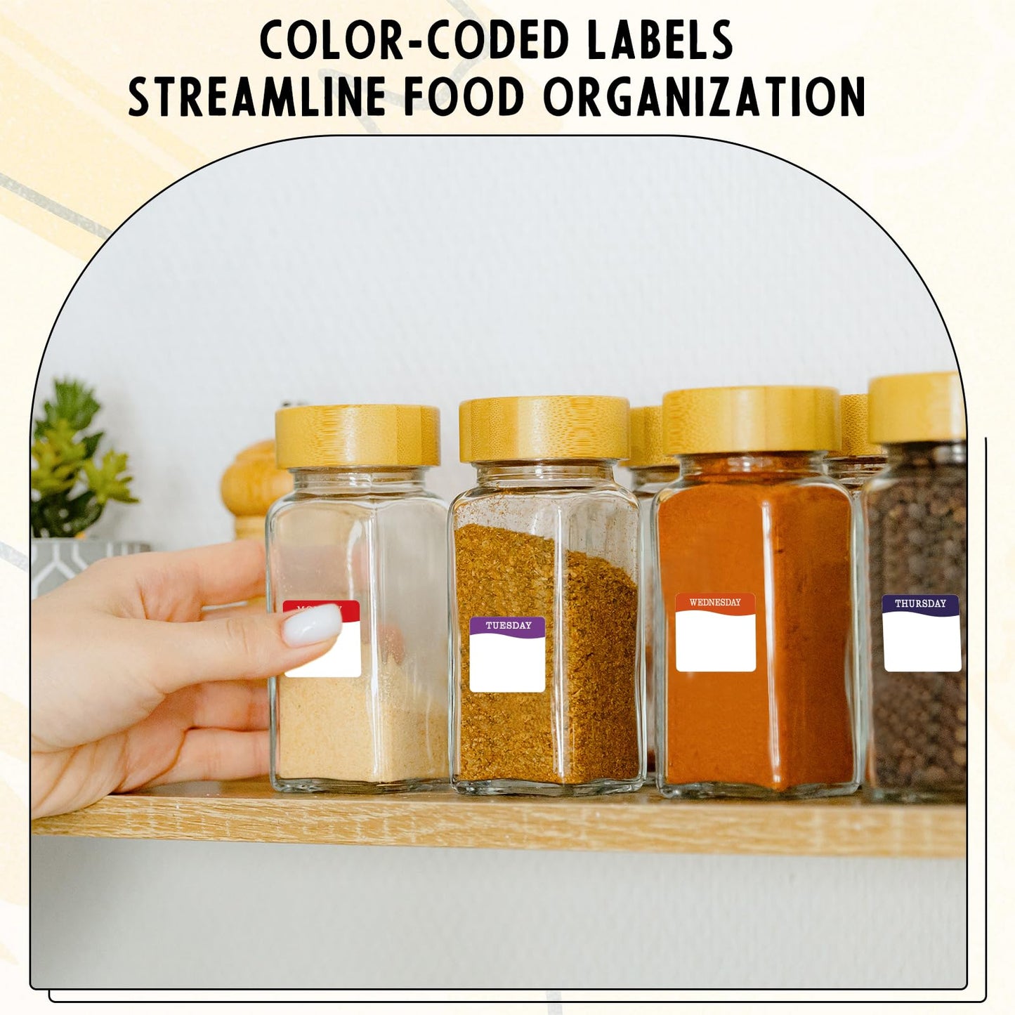 3500 Day of The Week Stickers with Wall Mounted Stickers Organizer Box Square Day Dots Food Labels Removable Food Rotation Labels 7 Slot Label Sticker Roll Holder for Kitchen Office