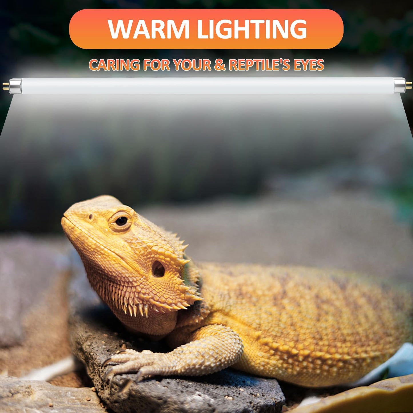 REPTI HOME 2PCS T5 UVB Reptile Light 8W 10.0,UVA UVB Light Bulb for Reptiles,Reptile UVB Lamp Tube for Bearded Dragon,12 Inchs