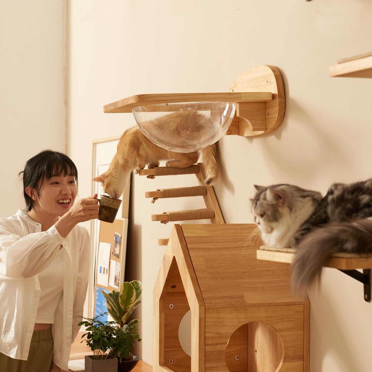 FUKUMARU Cat Climbing Shelf Wall Mounted, Four Step Cat Stairway with Jute Scratching for Cats Perch Platform Supplies