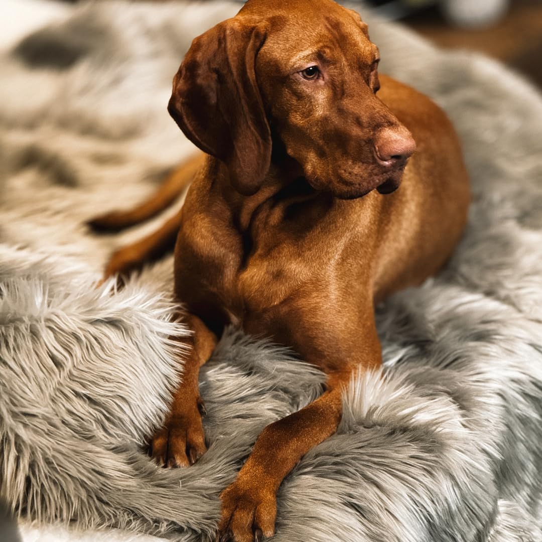 iHappyDog Waterproof Dog Blanket for Small, Medium & Large Dogs – Faux Fur Pet Throw for Couch, Sofa, Bed & Car – Soft, Washable, Stain-Resistant, Durable Cover – Grey 40" x 30"