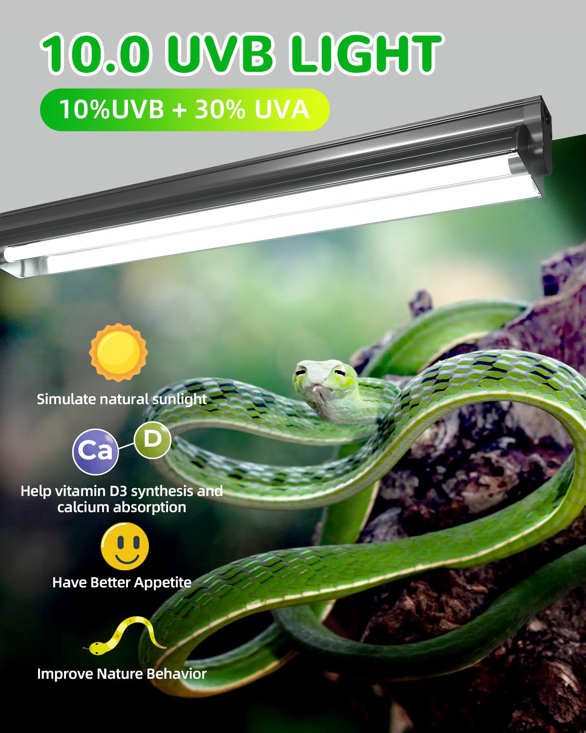 BrightArk T5 10.0 UVB Reptile Light 24W, 2 Pack, 22in, for Bearded Dragon, Chameleon, Tortoises, Lizards, Turtles