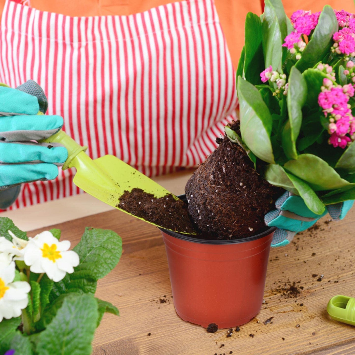 150 Pcs 6" Plastic Plants Nursery Pot/Pots Seedlings Flower Plant Container Seed Starting Pots for Succulents, Seedlings, Cuttings, Transplanting
