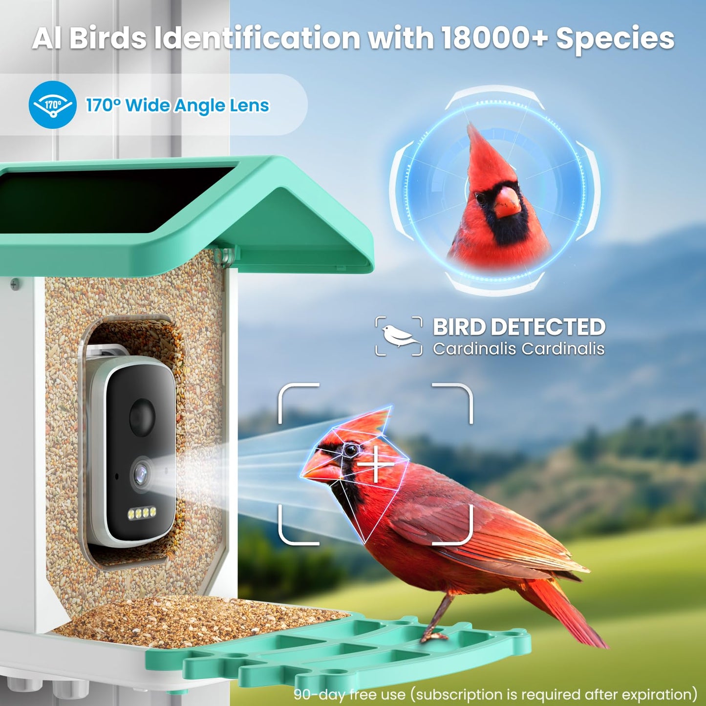 Yezloris Smart Bird Feeder with Camera, 2.5K HD AI Bird Watching Camera, Wireless Outdoor Solar Powered, Identifies 18000+ Species, Motion Detection, Night Vision, Waterproof – Gift for Bird Lovers