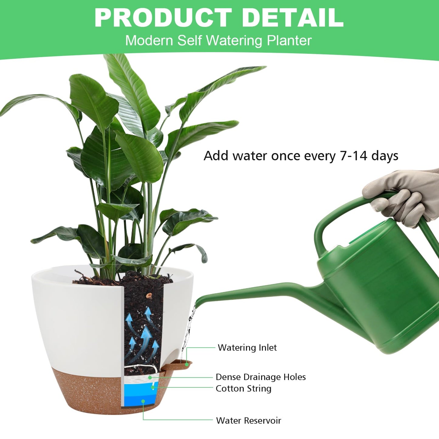 Self Watering Planter Set, 7Pack Medium Plastic Pot with Mesh Drainage Holes and Removable Reservoir Saucers, Modern 8+7.5+7+6.5+6+5.5+5 Inch Bottom Watering Flower Pots for Indoor Plants - White
