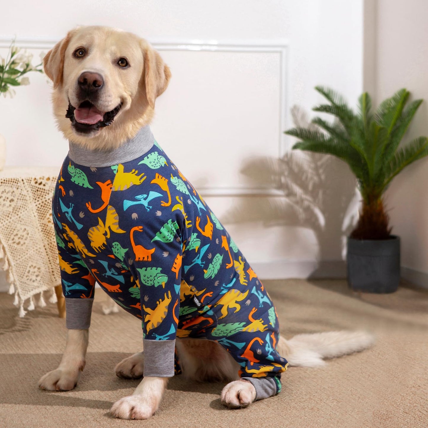 Axcimond Onesie for Dogs After Surgery Dog Recovery Suit Female Male Long Sleeve Dog Pajamas Medium Large Dogs Surgical Recovery Suit Pet Bodysuit Pyjama Chien Operation Dog Cone Collar Alternative