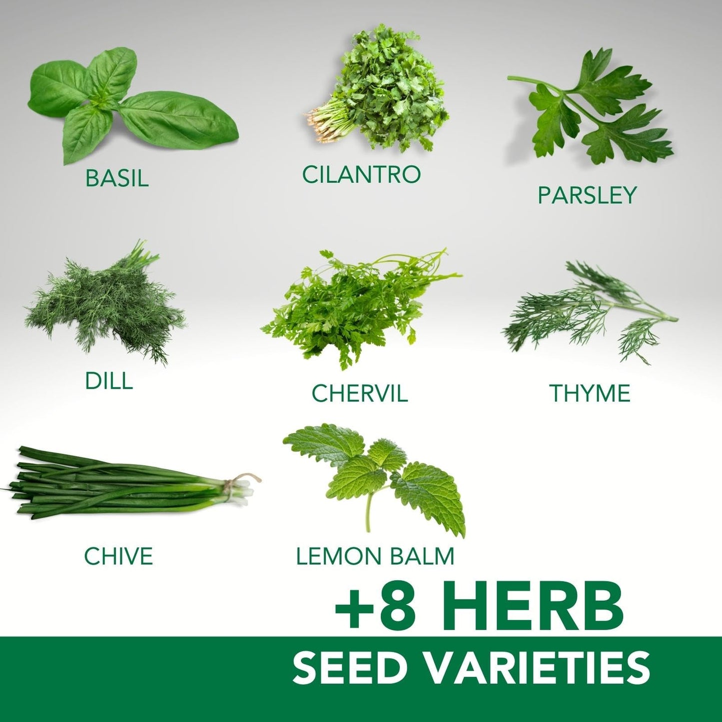 22 Vegetable & Herb Seed Pack | 10,000+ Seeds | Grown in West Coast Canada | Easy to Grow Varieties | for Canadian Climates | Container, Raised Beds, and More | Large Enough for Survival Gardens