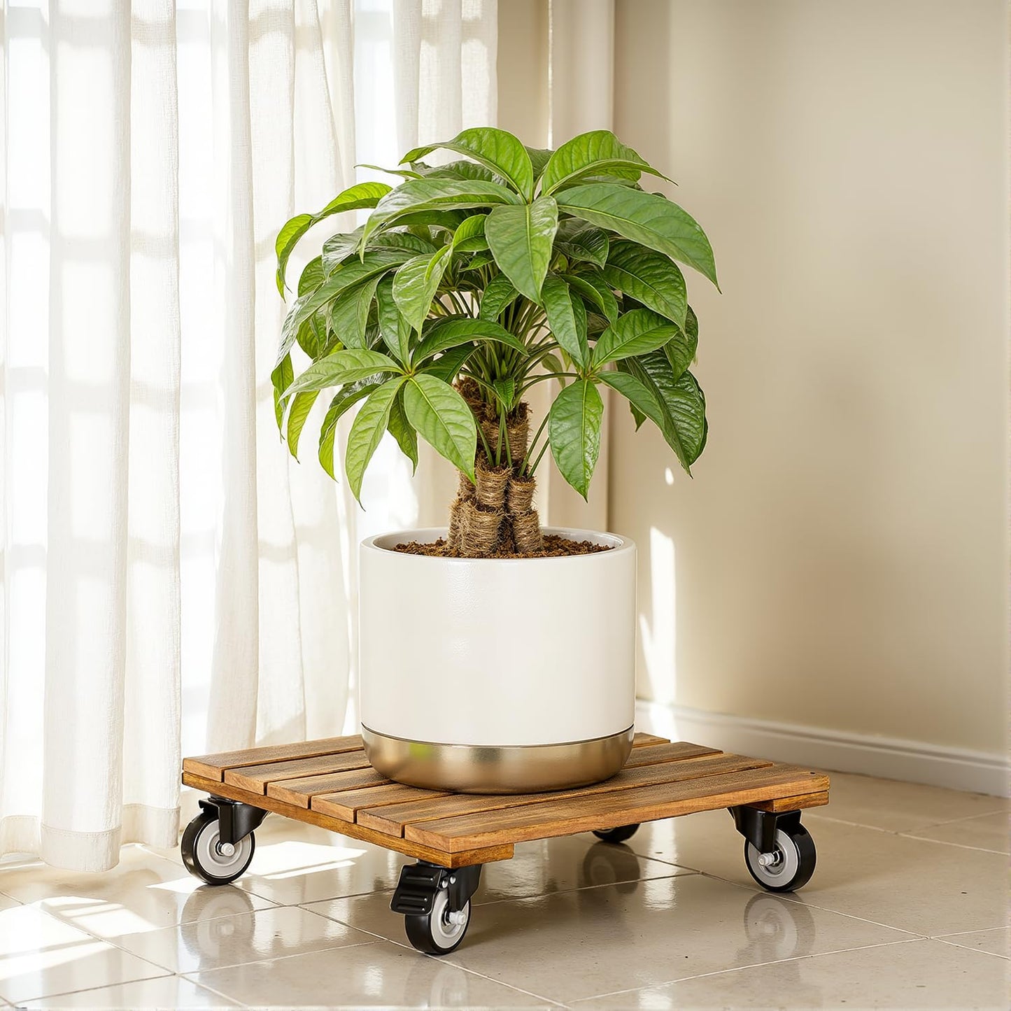 2pack Wood Plant Caddy With Wheels Heavy Duty, 264 Lbs Capacity, Upgraded 12 Inch Acacia Hardwood Plant Dolly, Plant Stand with 360° Lockable Wheels, Plant Caster for Heavy Objects Hauling - Natural