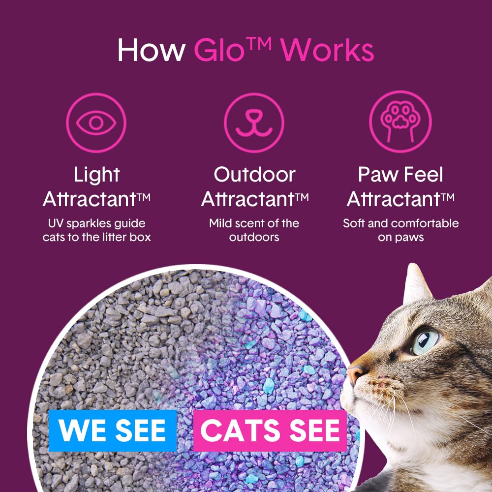 Boxie® Glo™ Natural Attractions 30 Day Odor Control Clumping Corn Cat & Kitty Litter, 6.5 lb, 99.9% Dust-Free, Plant-Based, Lightweight, Strong Clumping, UV Light Attractant for Litter Box Use