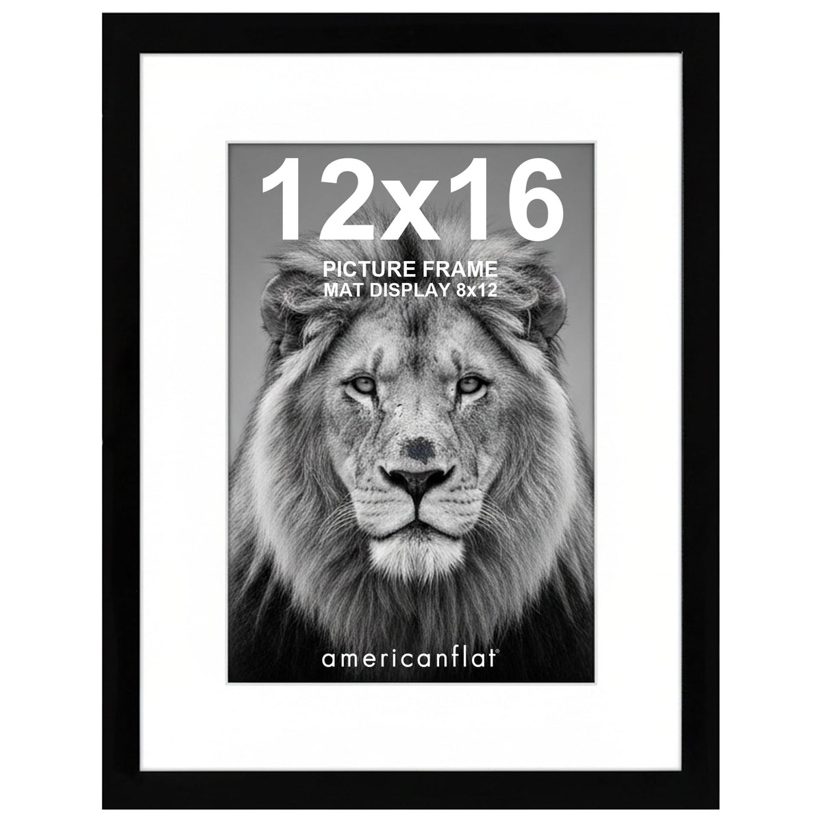 Americanflat 12x16 Black Picture Frame - Display Pictures 8x12 with Mat - Display Pictures 12x16 without Mat - Glass Front - Hanging Hardware Included