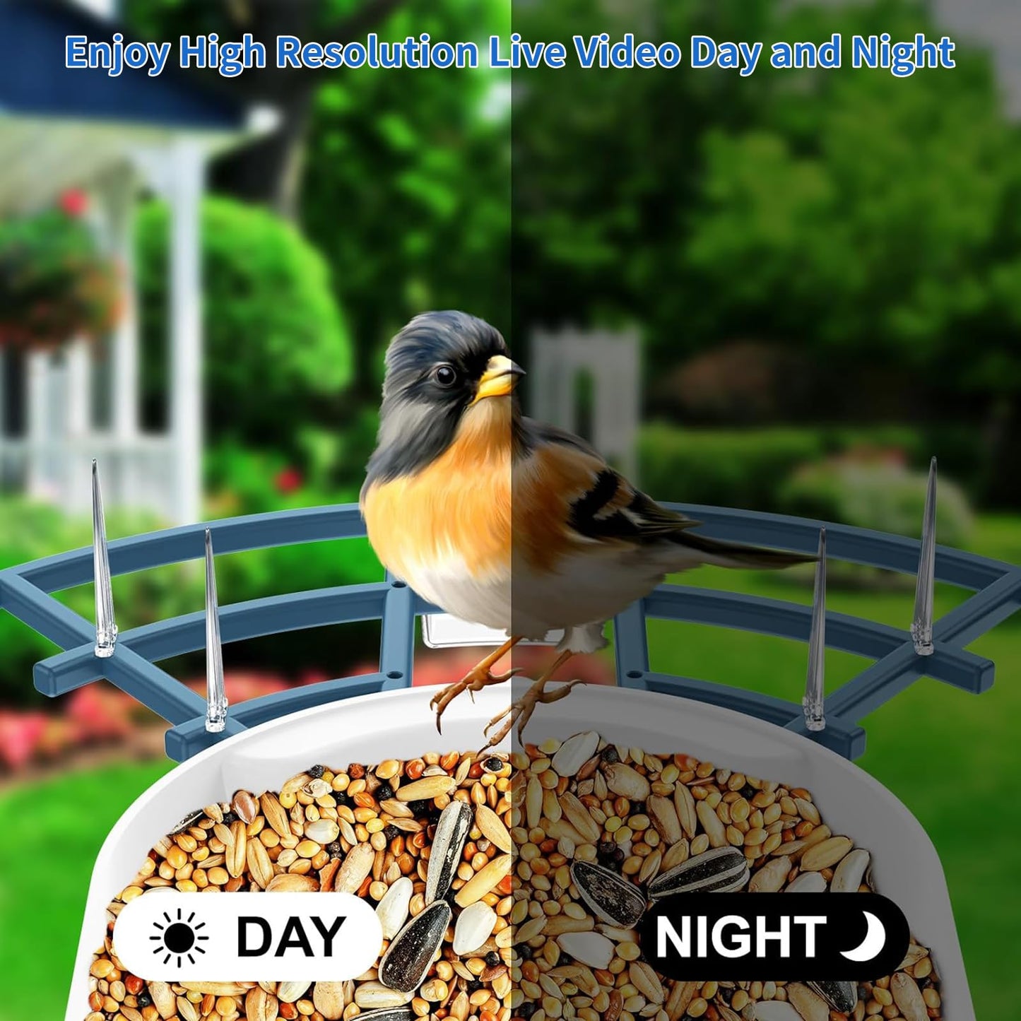 Bird Feeder with Camera,AI Identify Birds Species,Smart Bird Camera with Solar Powered,Auto Record FHD Bird Video in Backyard,Lawn,Instant Notifications,Ideal Gift for Family and Bird Lovers,Navy Blue