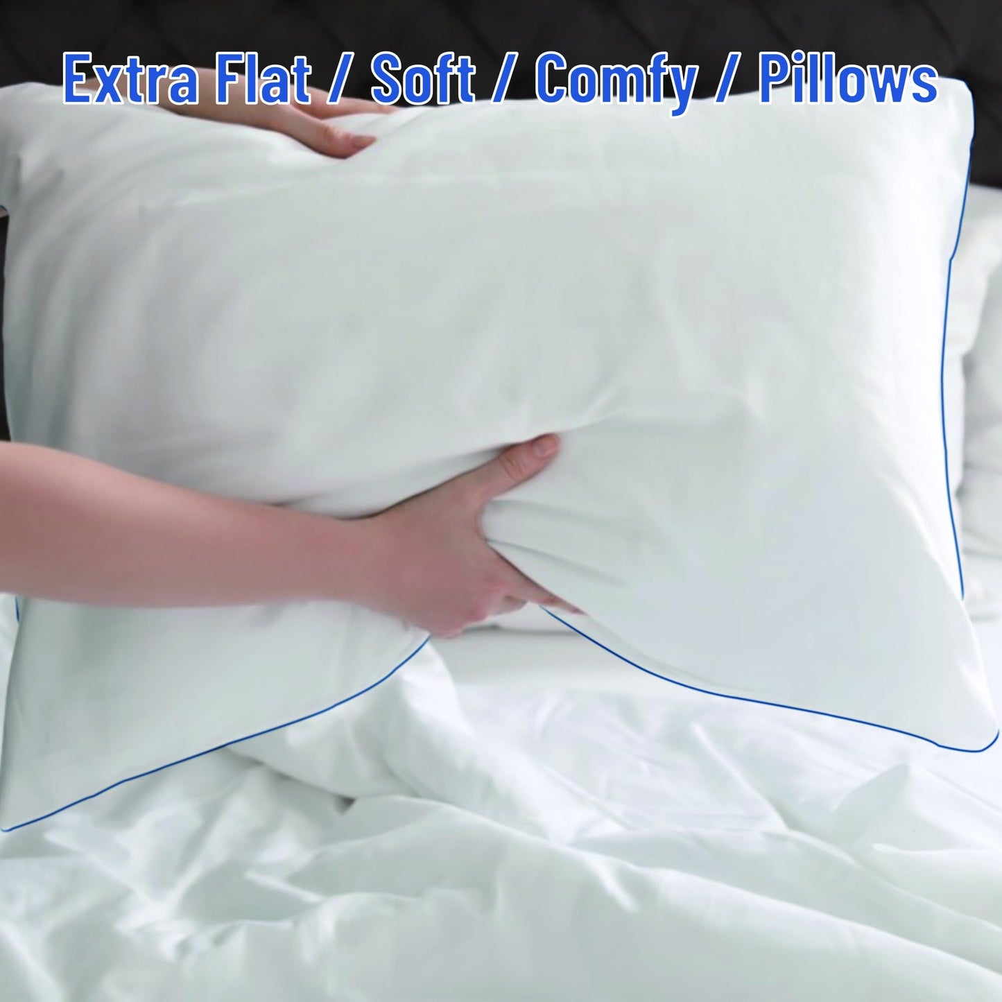 SILUI Flat Soft Thin Pillows Queen Size Set of 2 Pack Bed Pillow with Down Alternative Fill for Side Back Stomach Sleepers, 20x30 Inches