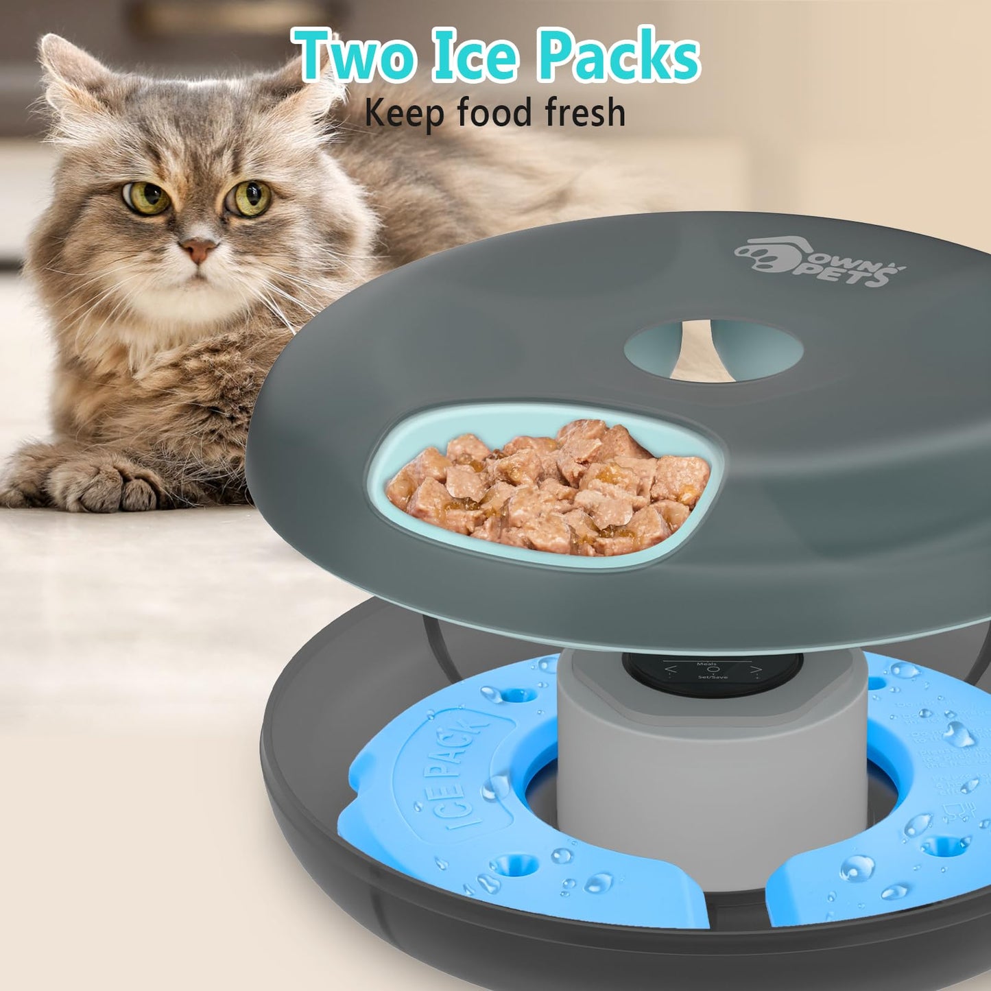 Ownpets 6 Meals Automatic Cat Feeder for Wet/Dry Food, with 2 Ice Packs, Programmable Timed Pet Food Dispenser, Cordless Rechargeable Battery Auto Feeder for Kitty/Small Dogs,Black