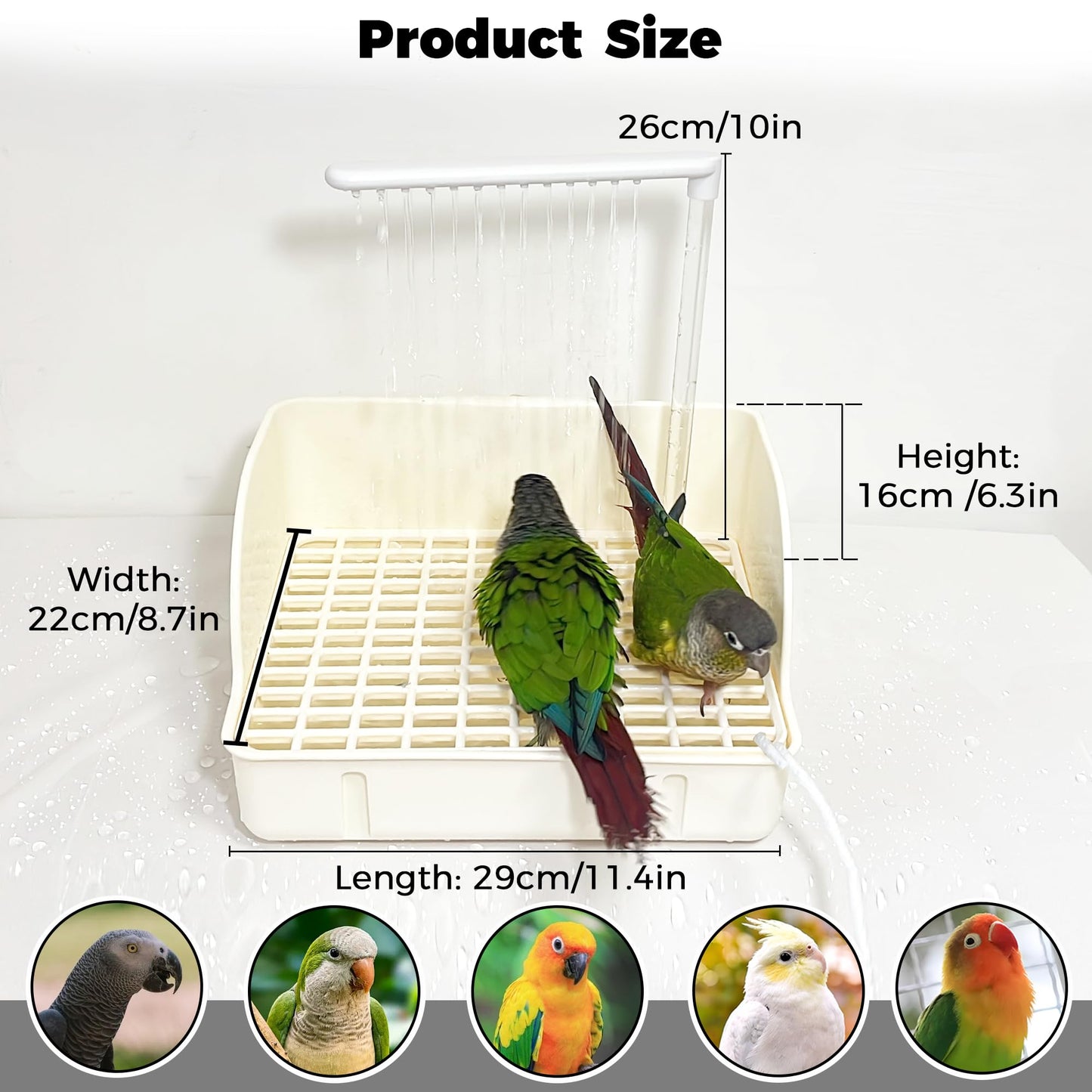 Jevnd Automatic Parakeet Bird Bath with Pump, Large Bird Shower Fountain Indoor Bathtub with Running Water, Parrot Bath Tub Faucet for Pet Birds, Cockatiel, African Grey, Budgie, Conure, Lovebird