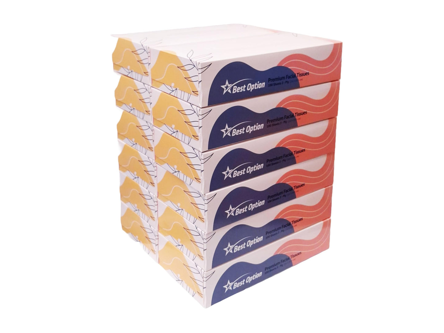 Soft 2-Ply Facial Tissue, White, 100-Count Box | Professional, Gentle and Durable | Great for Bathroom, Office, Business, School (1,200 Tissues, Bulk Pack of 12-Boxes)