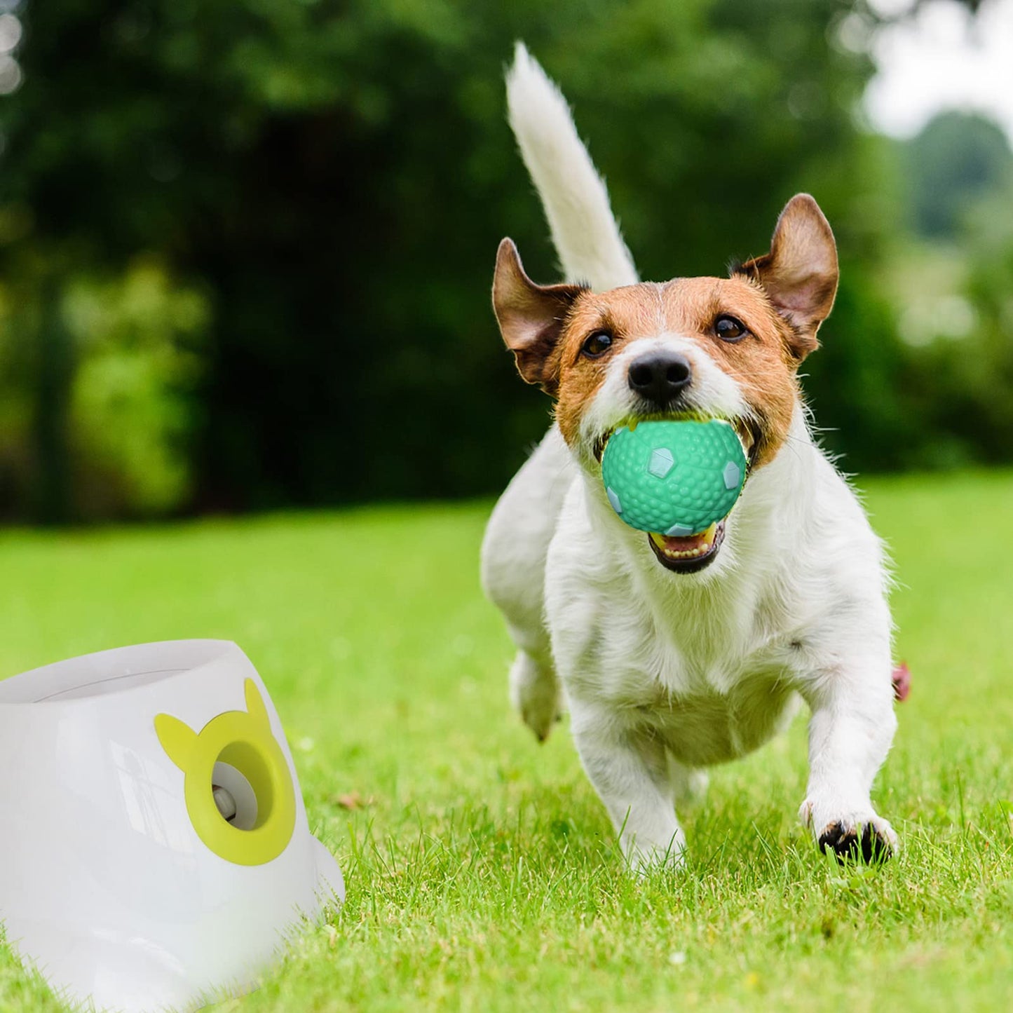 BESTHLS Dog Tennis Ball 2 inch Pet Toy Rubber Balls for Pet Puppy Tiny Small Dogs Fetching Exercise & Training (16 Pack)