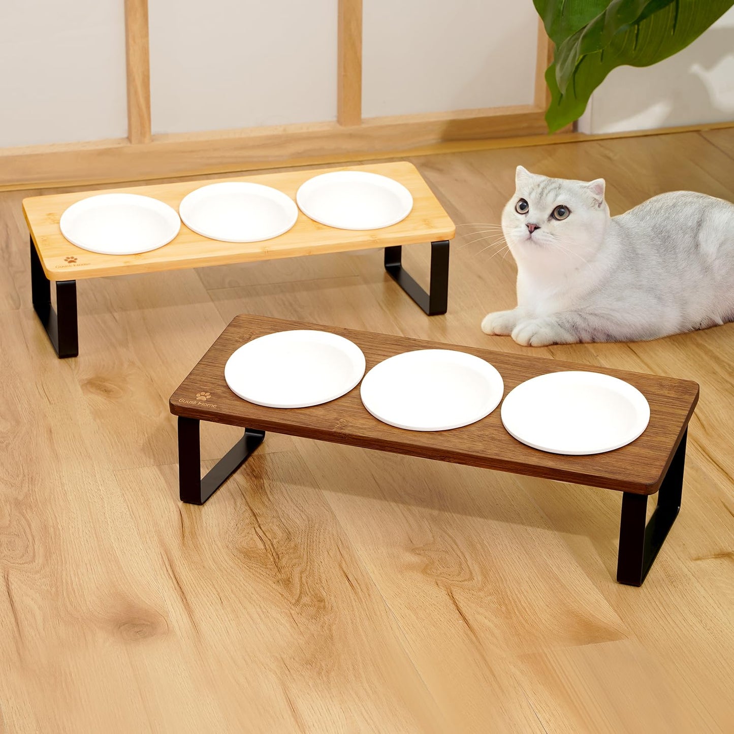 Sunhoo Elevated Cat Food Bowl Raised Kitty Dish Ceramic Tilted Pet Bowls Set of 3 Indoor Cats Dishes Dia 4.7in/12cm Anti Vomiting with Natural Bamboo Stand Gamelle Pour Chat