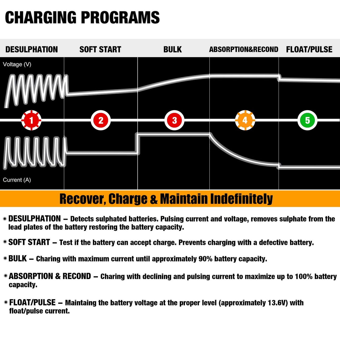 MOTOPOWER MP00205A 12V 800mA Fully Automatic Battery Charger/Maintainer for Cars, Motorcycles, ATVs, RVs, Powersports, Boat and More. 2-Pack