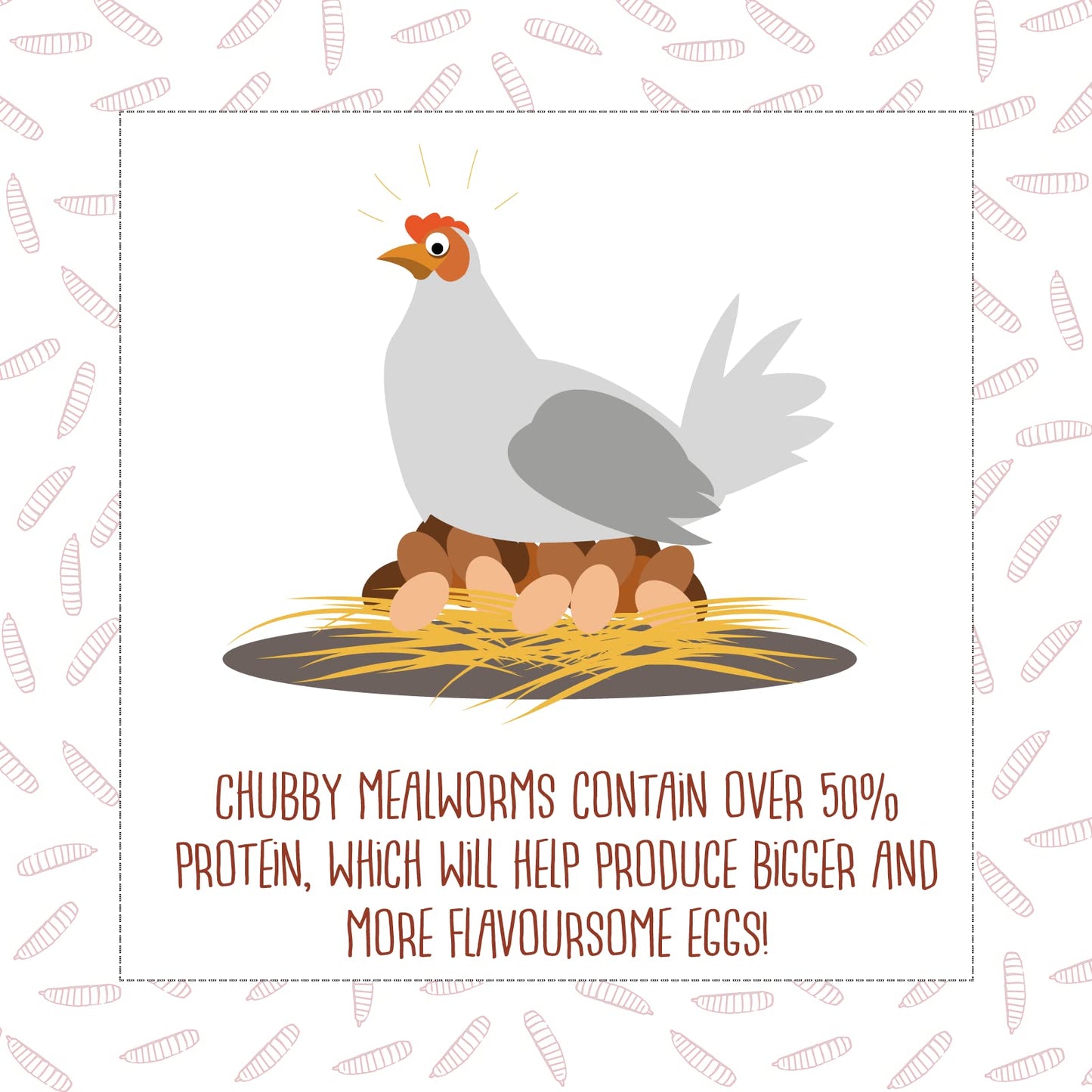 Chubby Dried Mealworms Premium Non-GMO Dried Mealworms for Chickens High Protein Chicken Feed Meal Worms for Wild Birds 3Lb