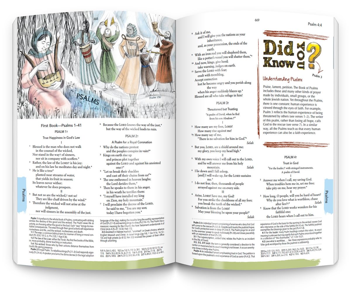 The Catholic Youth Bible: New American Bible