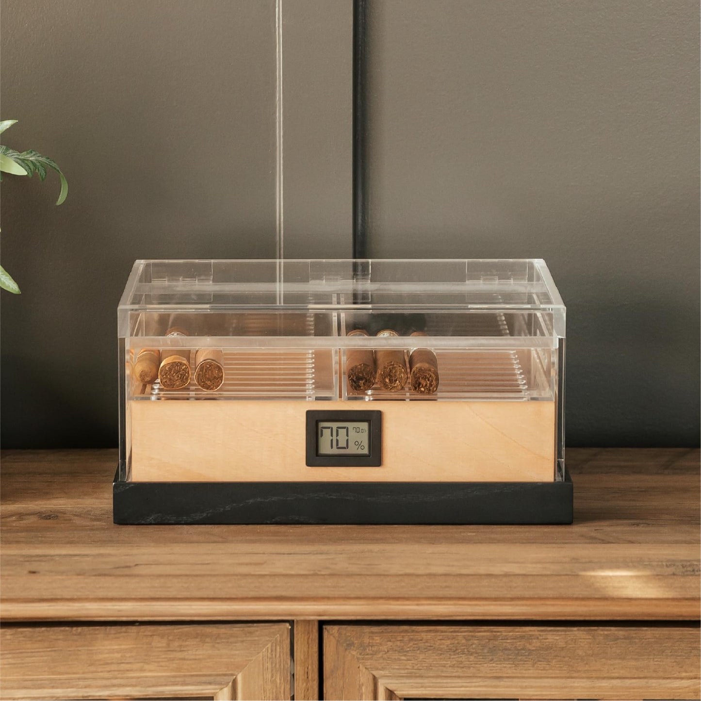 CASE ELEGANCE - Felix Pro Tupperdor - Airtight Acrylic Humidor, Two Trays, Spanish Cedar Tray, Ash Wood Base, Includes Humidity Pack, Digital Hygrometer, Acrylic Divider - Holds 50-60 Cigars