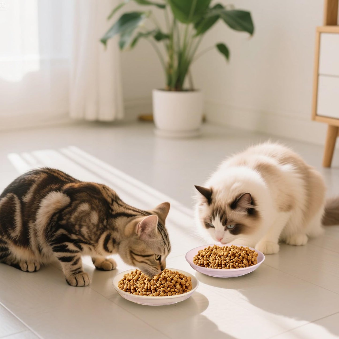 HSIGIO Ceramic Cat Food Bowl, Colorful Cat Bowls Whisker-Friendly, 5.9" Shallow Wide Kitten Plates, Easy to Clean Indoor Feeding Dishes