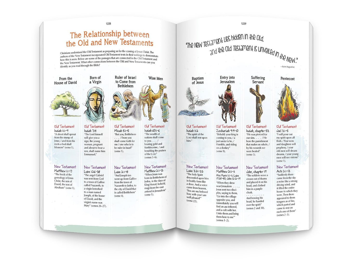 The Catholic Youth Bible: New American Bible