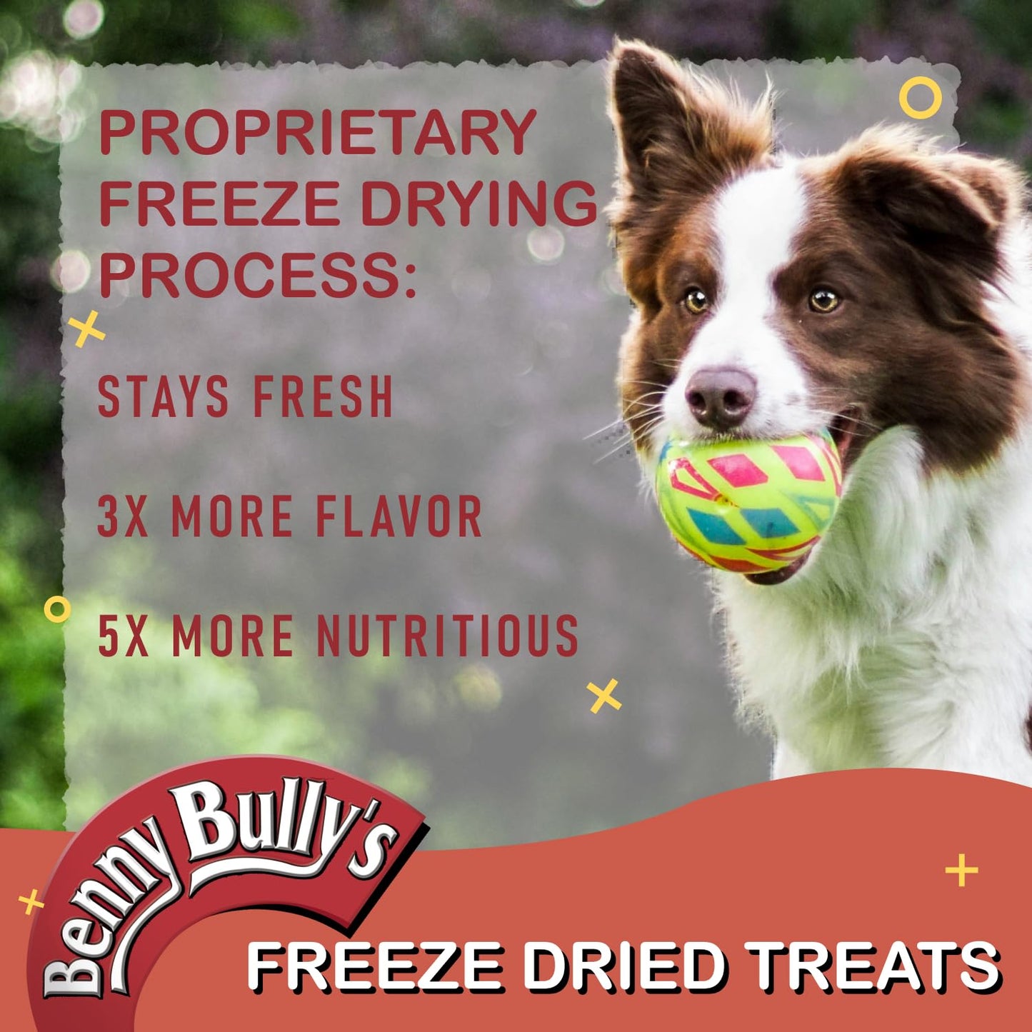 Benny Bullys Pillow Pack Mini Bits - Freeze Dried Dog Treats - Pack of 12