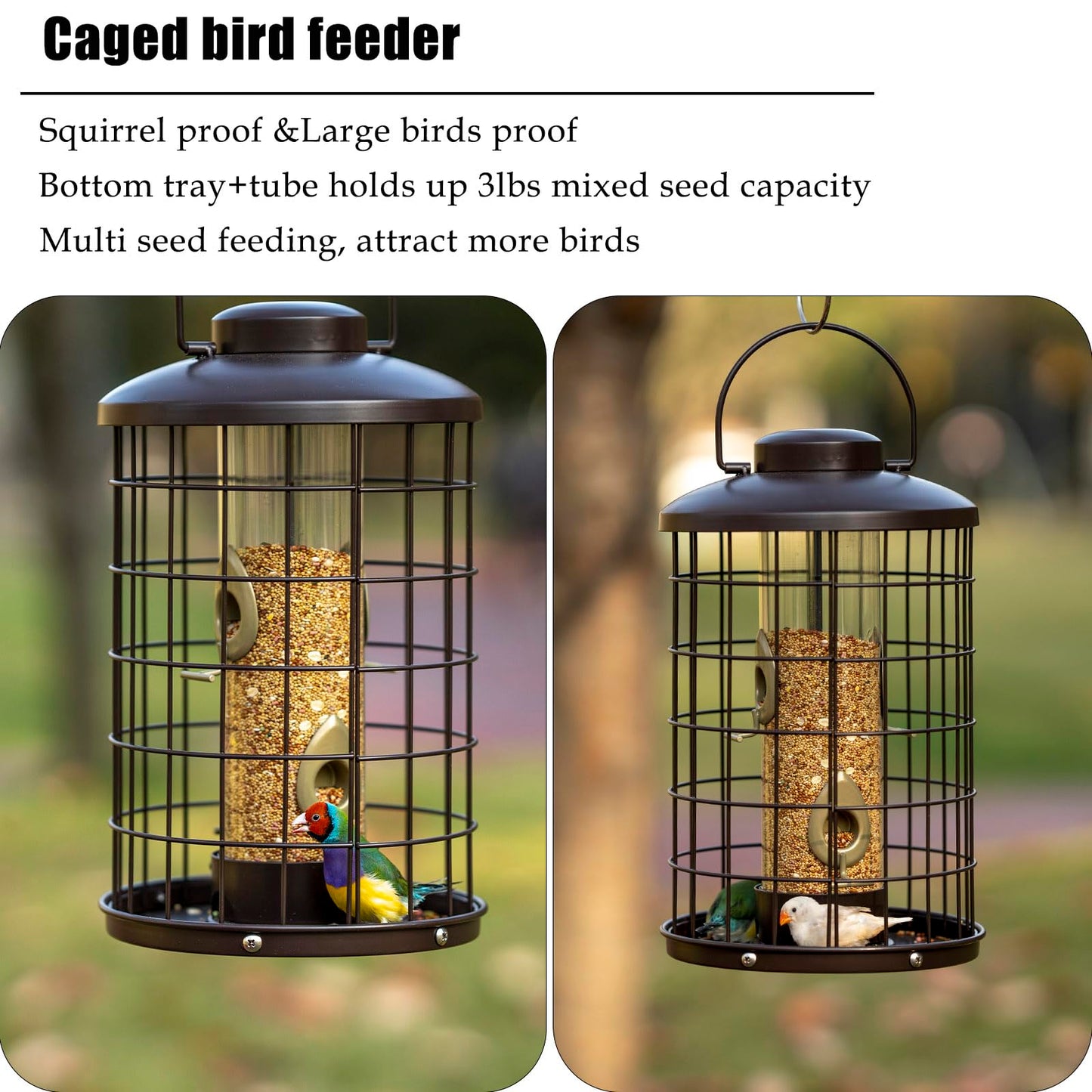 Caged Bird Feeders Metal - 3 Lbs - Squirrel-Proof Wild Bird Tube Feeder Hanging Outside, Detachable Cleaning, 4 Feed Ports(Copper)
