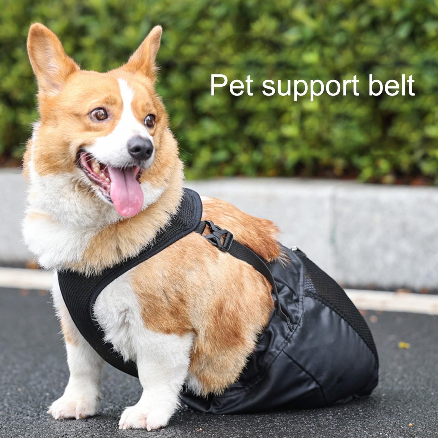 Drag Bag for Paralyzed Pets, Indoor Dog Wheelchair Alternative for Disabled Back Rear Legs Dog, Protects Chest and Limbs, Durable Nylon Breathable and Comfortable (XL)