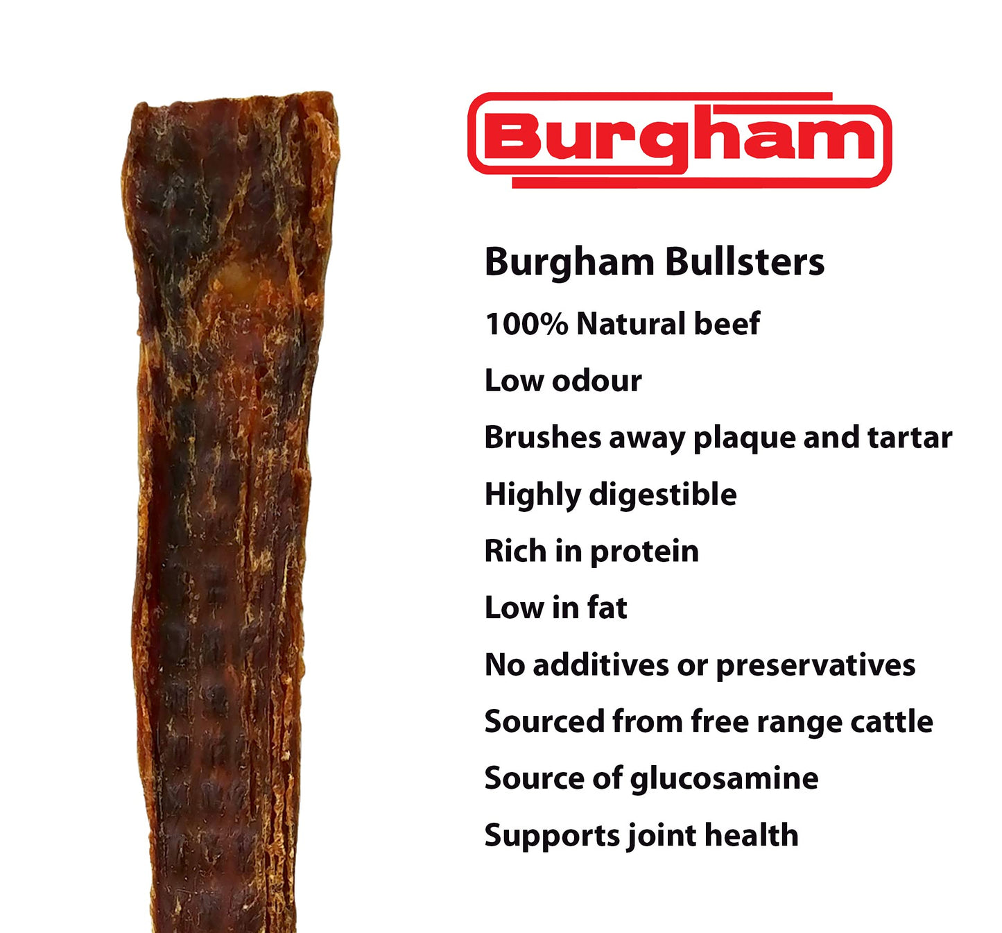 Burgham Beef Gullet Strips for Dogs & Puppies - Natural Dog Treats for Large or Medium Dogs - Oral Health Friendly Dog Chews - 12 Inches (10 Pack)