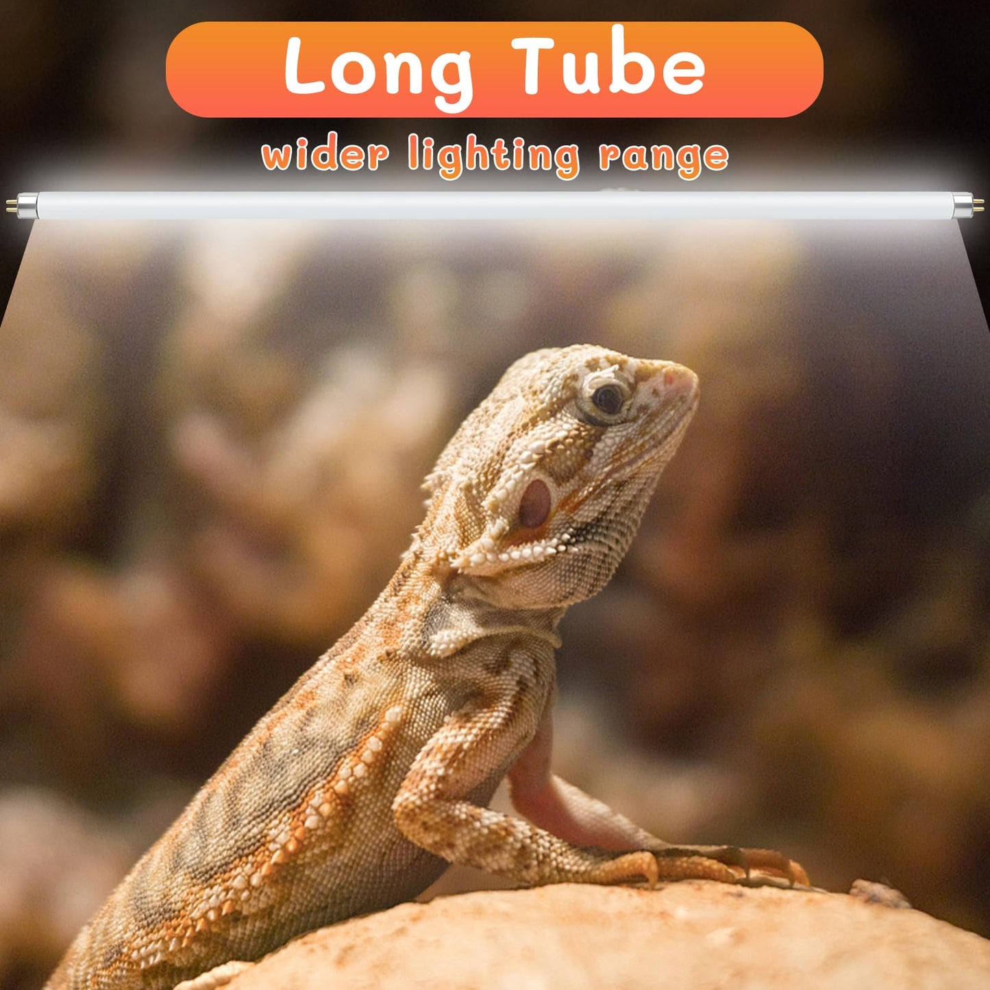 REPTI HOME 2PCS T5 UVB Reptile Light 8W 10.0,UVA UVB Light Bulb for Reptiles,Reptile UVB Lamp Tube for Bearded Dragon,12 Inchs