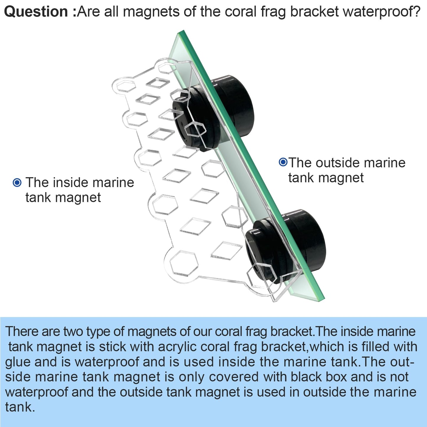 Aquarium Choice Coral Plug Holder Coral frag Rack Magnetic Holder Reef Magnets Holder for frag Rack (Coral Holder with 11 frag Plug)
