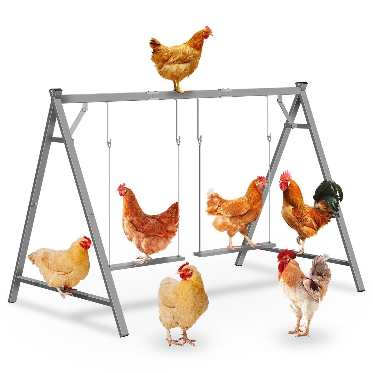 Chicken Perches with Swing,Chicken Roosting Bars,Chicken Swing Toy for Chickens Rooster Poultry Parrots,Chicken Run Accessories for Pet's Health & Happy,Chicken Coop Toys for Backyard Farm