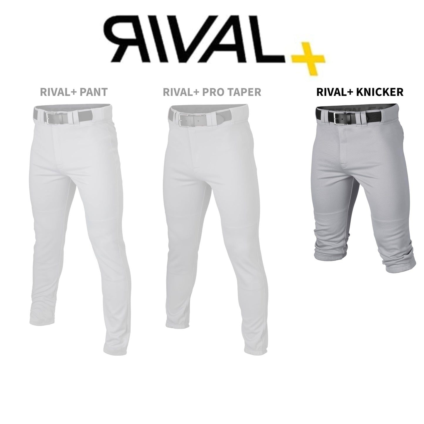 Rival+ Knicker Pant Adult Piped Grey/Black S