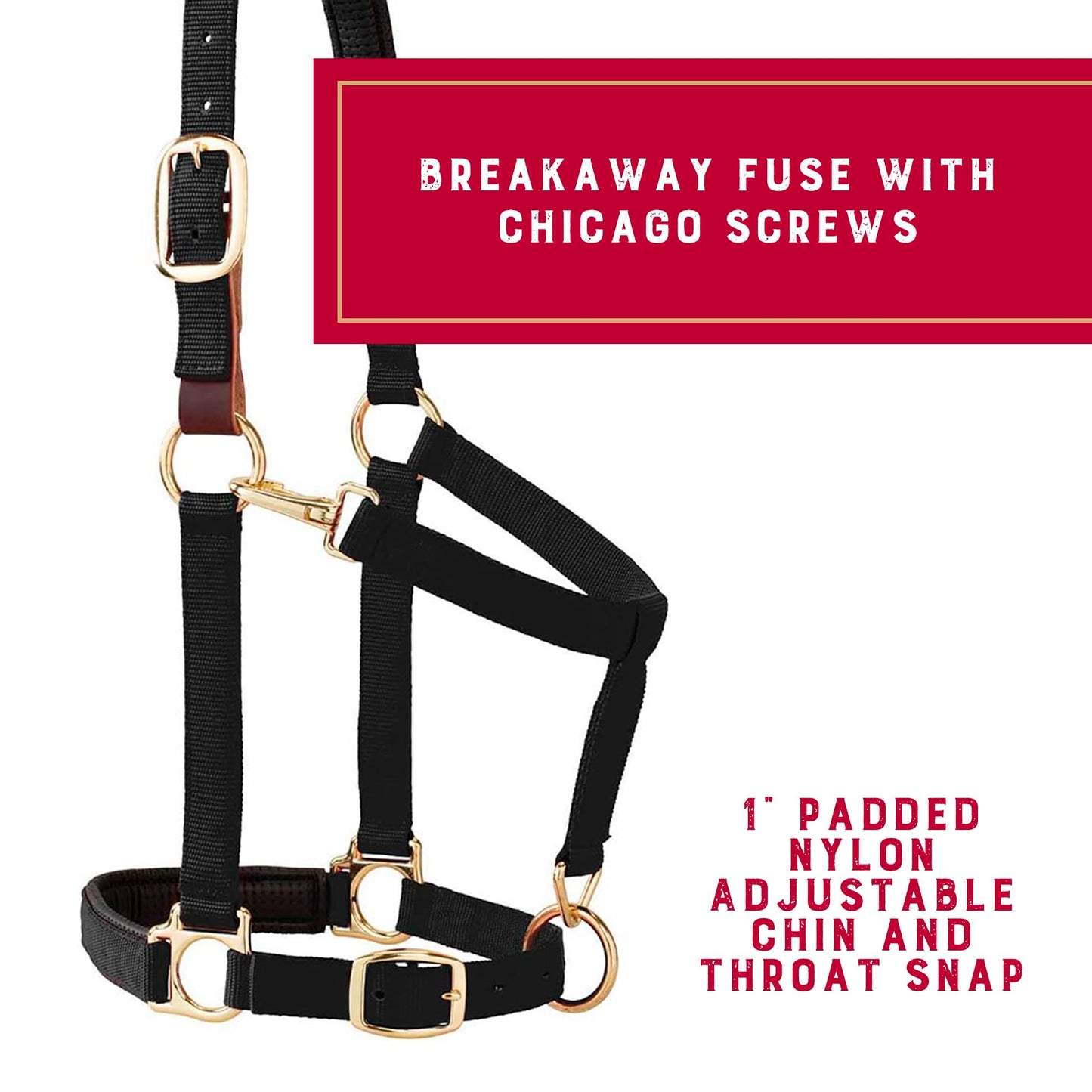 Weaver Leather Padded Breakaway Adjustable Chin & Throat Snap Halter, 1" Average Horse or Yearling Draft