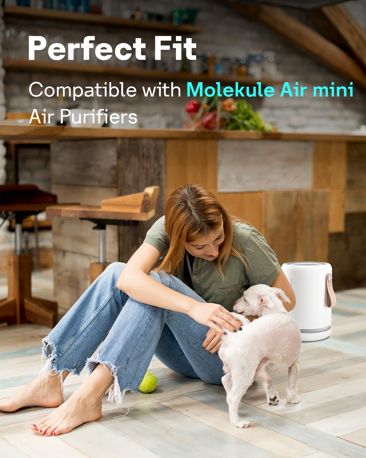 Leemone 2 Pack H13 True PECO-HEPA Filter Replacements for Molekule Air Mini & Air Mini + Air Purifiers, High-efficiency Cleans Air of Smoke VOCs Dust & Other Pollutants