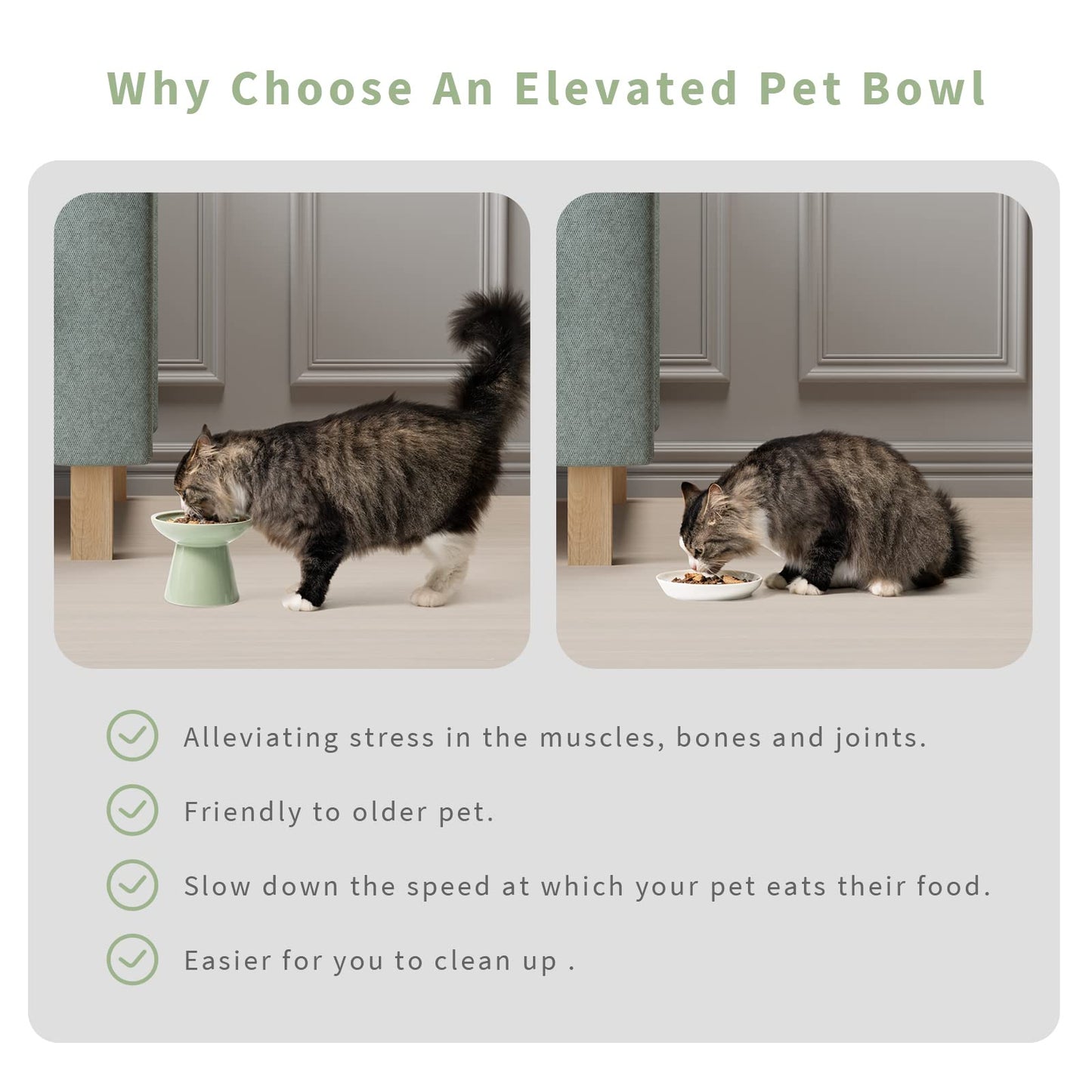 CEEFU 2 Extra Wide Elevated Cat Food Bowl, Ceramic Cat Bowls for Food and Water, Wide Shallow Cat Food Dish, Whisker Fatigue, Lead & Cadmium Free, Great Height for Cat