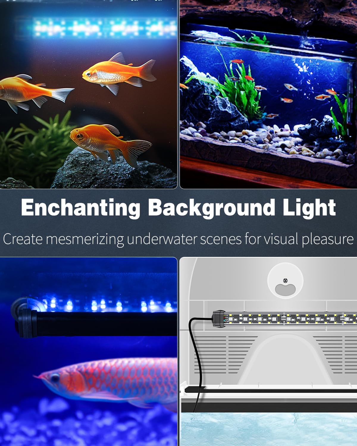 Pawfly 10 W Aquarium LED Light 20 Inch 24/7 Fish Tank Light with Full Spectrum Brilliant White Blue Red Green Lights Multi-Colored LEDs with D/N Mode Single Color Effects Timer & Adjustable Brightness
