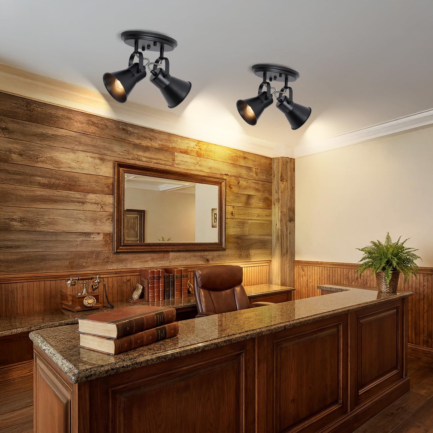 SEEBLEN Black Kitchen Lighting Fixtures Ceiling, 2-Light Adjustable Track Light, Flush Mount Directional Ceiling Light for Hallway, Dining Room, Bathroom