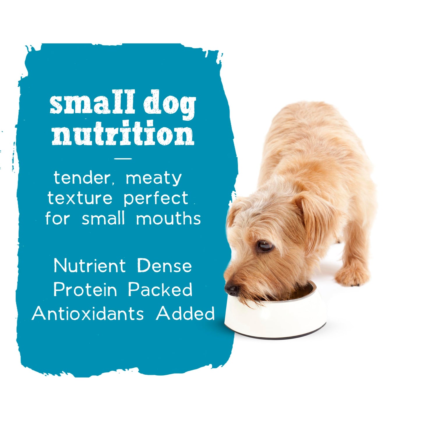 Beneful Incredibites Wet Dog Food, in Gravy with Real Beef - 85 g Can (24 Pack)