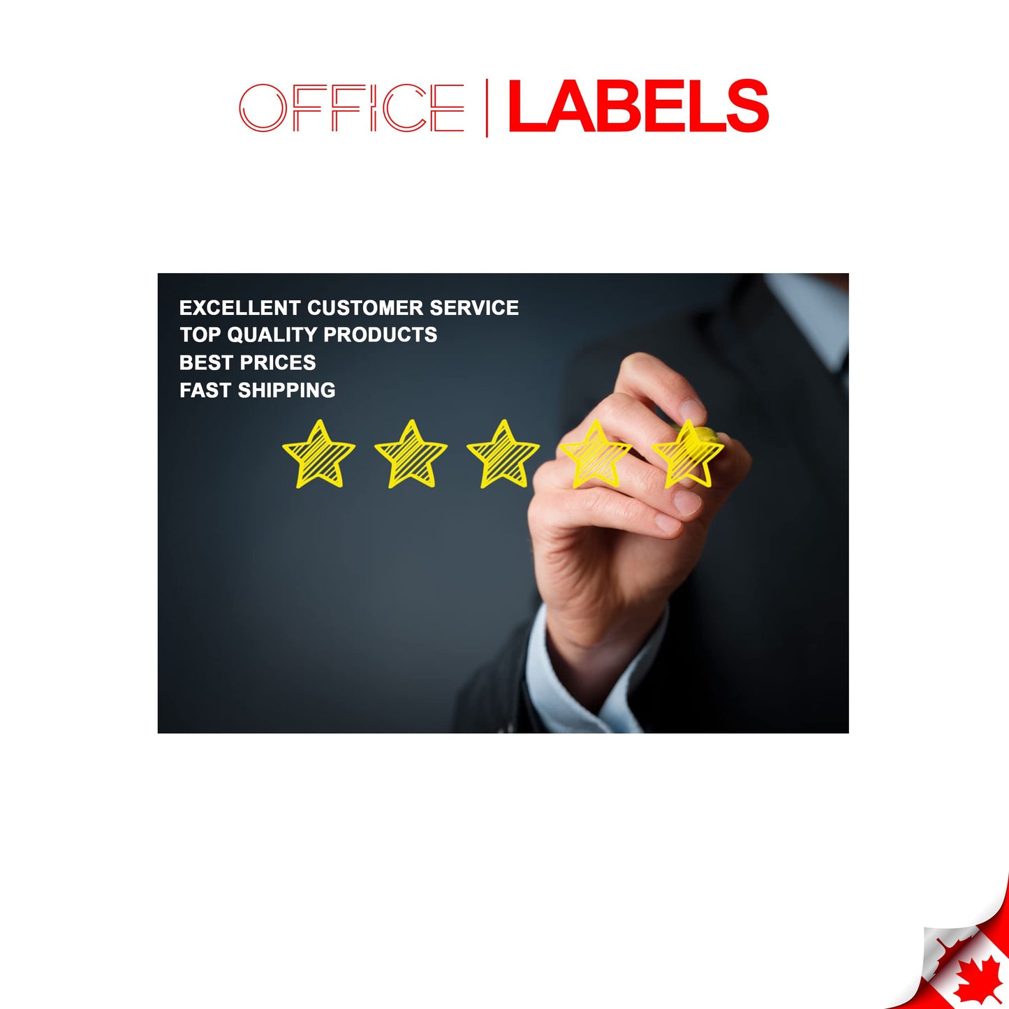 OFFICE LABELS Replacement for Dymo 30333 1/2 x 1 10 Rolls