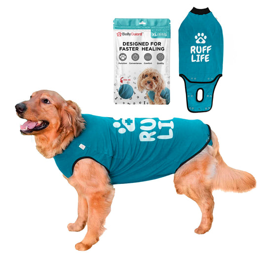 BellyGuard Dog Surgery Suit for Male and Female, Onesie for Dogs After Surgery, Spay or Neuter Recovery Suit for Post-Op Care
