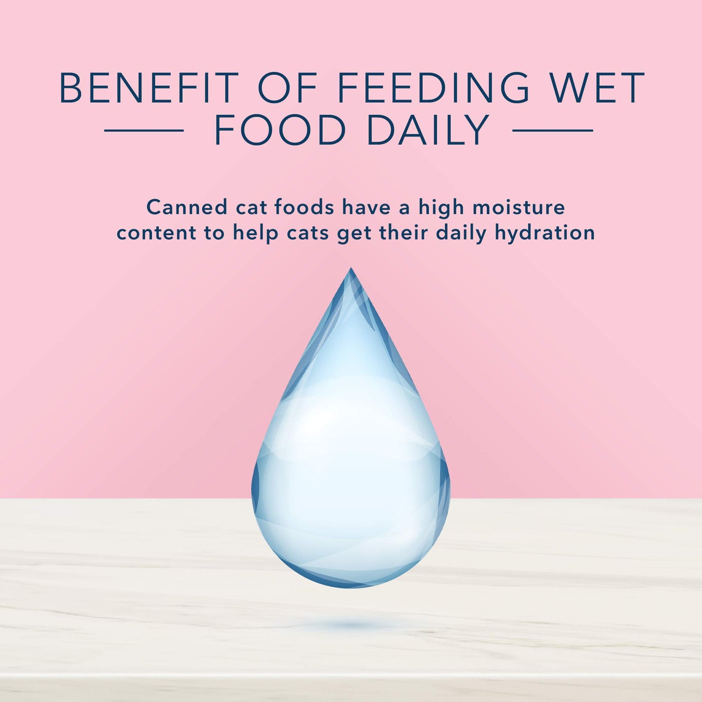 Blue Buffalo True Solutions Natural Adult Wet Cat Food, Digestive Care, 85g cans (Pack of 24)