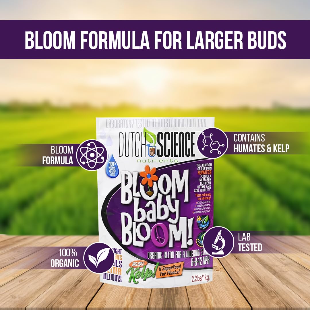 Dutch Science Nutrients Organic Fertilizer – Bloom Baby Bloom Large 1 Kg Size - Booster Fertilizer & Nutrition with 6-8-12 NPK | Organic Bud Booster for Strong Flower Growth | Outdoor & Indoor