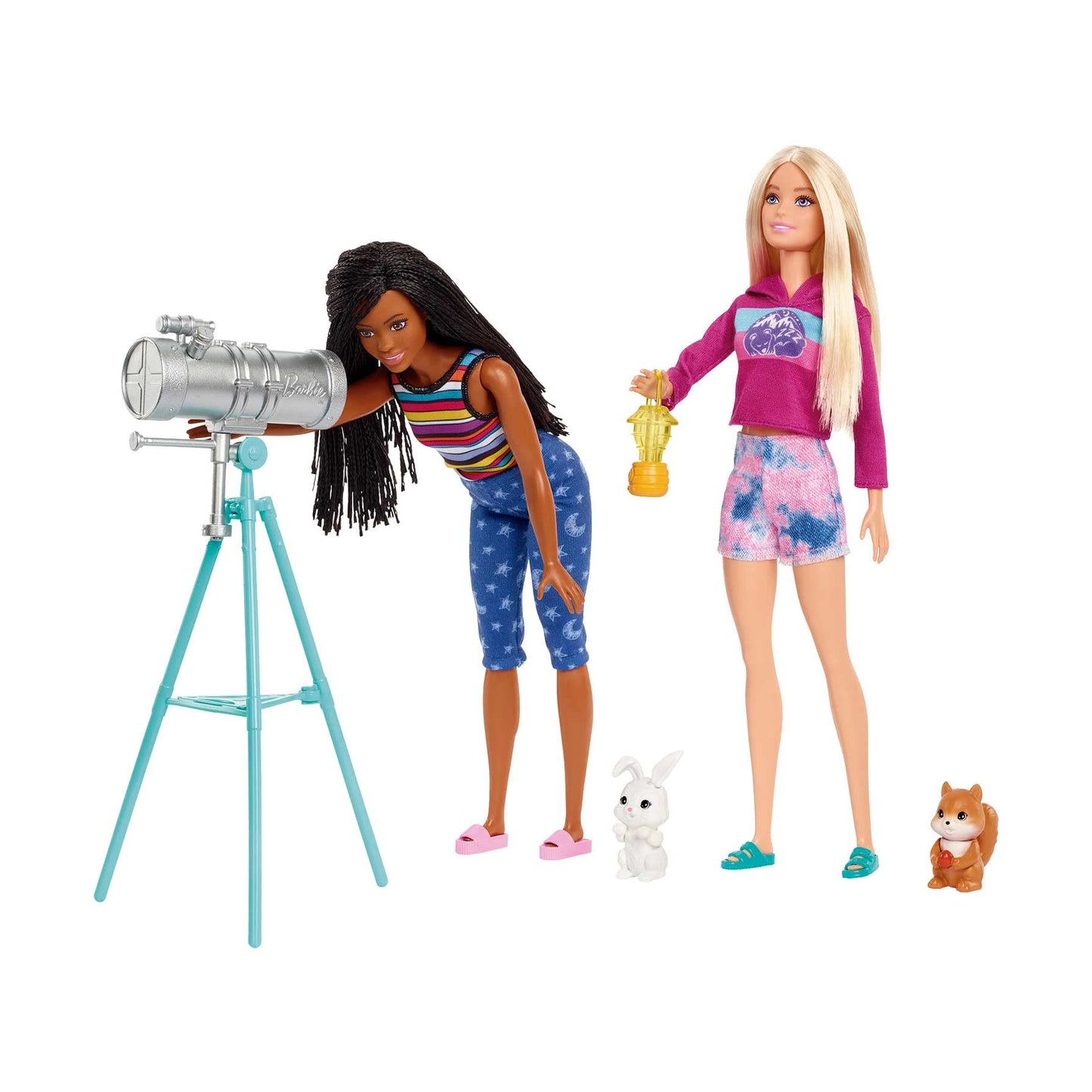 Barbie Dolls & 20 Accessories, It Takes Two Camping Tent Playset with Brooklyn & Malibu, Plus 2 Moving Animals