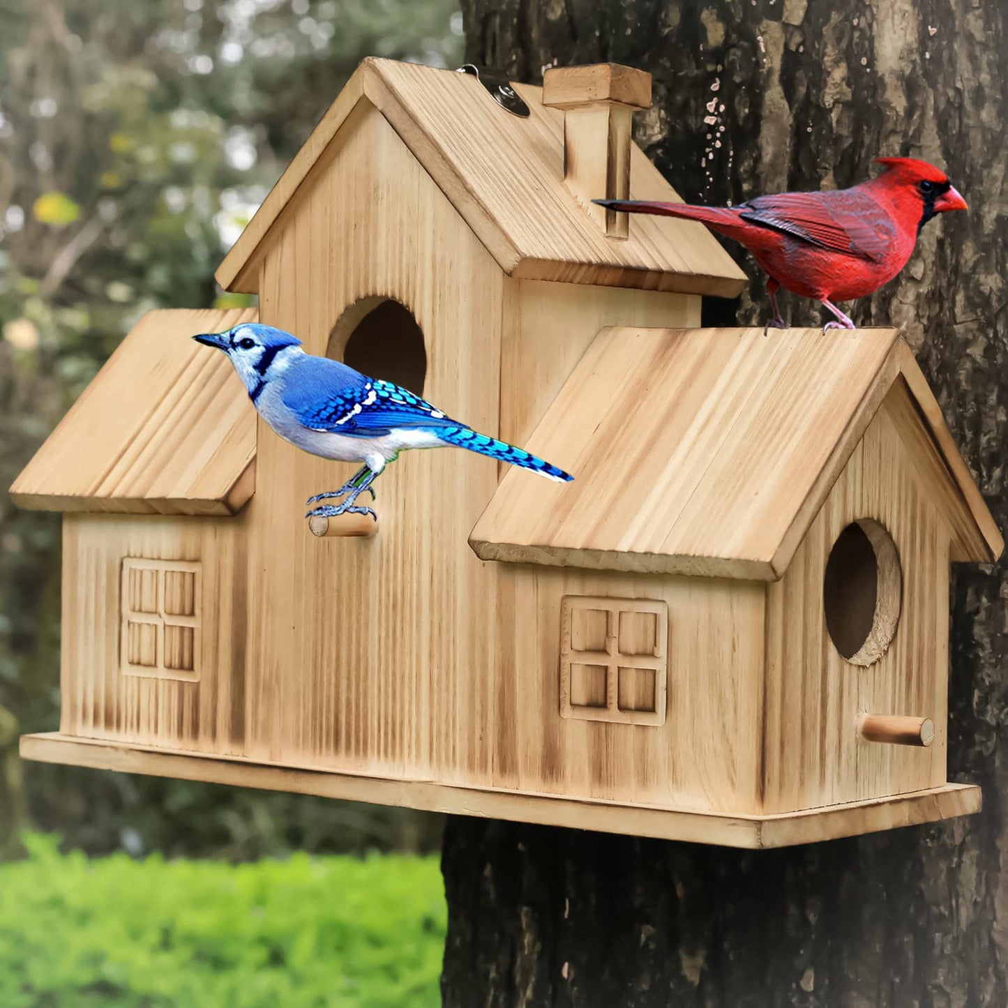 Outdoor Birdhouse, Outdoor 3-Hole Birdhouse, Room for 3 Birds, Bird Cardinal Garden Hanging Birdhouse Outdoor Birdhouse, Room for 3 Birds, Bird Cardinal Garden Hanging Birdhouse