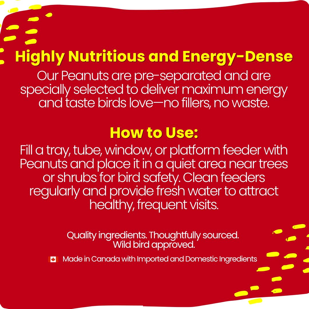 Chirp & Maple, Peanuts for Wild Birds, No Shell, Wild Bird Food, 4.5KG (10LB) Bag