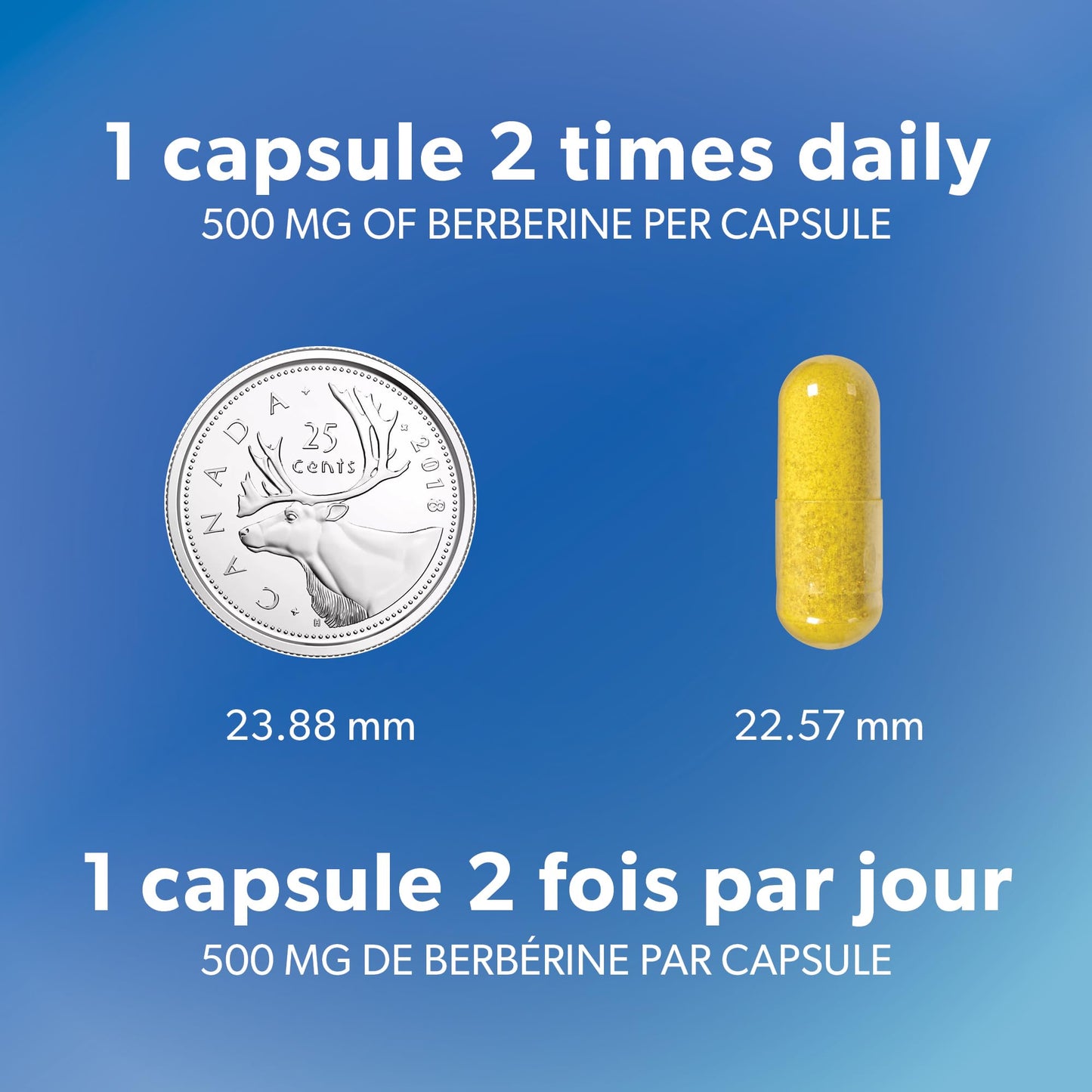 Preferred Nutrition® Berberine MAXIMUM POTENCY 1000 mg per Serving (2 caps, 500 mg each) VALUE SIZE 240 Vegetarian Capsules, Canadian Company